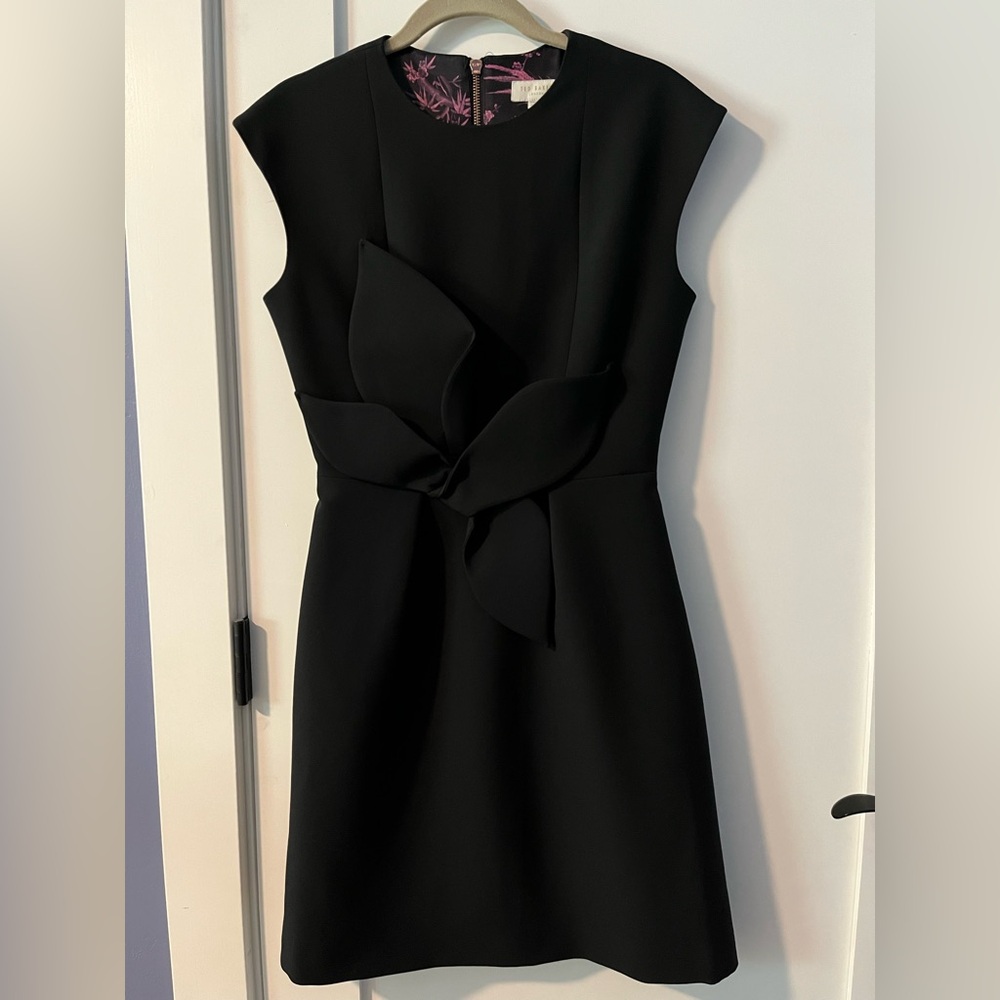 Gorgeous NWT Ted Baker mini dress